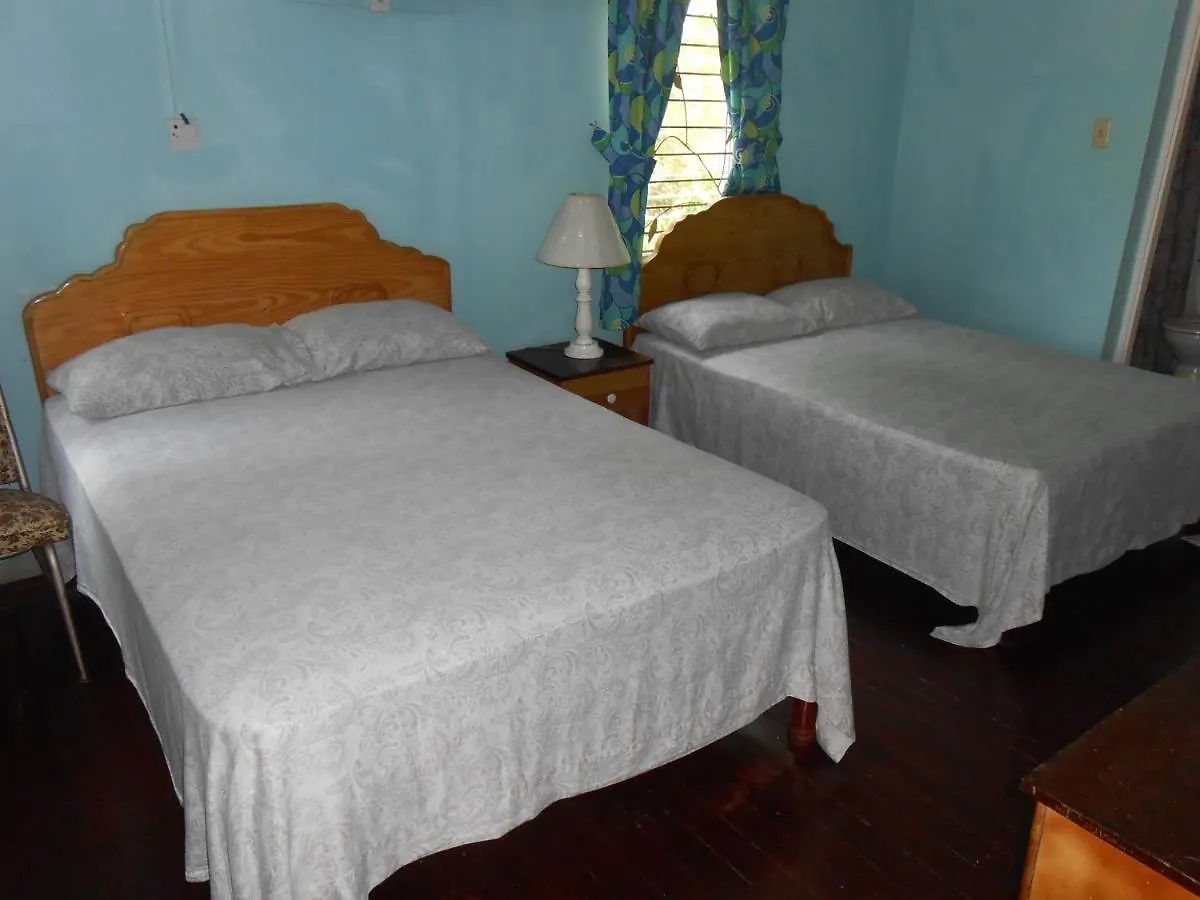 Tropical Vibe Hostel Kingston - Near Half-Way-Tree Camperdown Jamaica